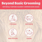 SKOUT'S HONOR Probiotic Dog Shampoo and Conditioner - SC, 16 oz, 2-Pack | Natural 2-in-1 for Itchy Skin, Microbiome-Friendly with Avocado Oil & Omega-3s, Paraben & Sulfate-Free