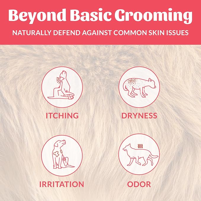 SKOUT'S HONOR Probiotic Dog Shampoo and Conditioner - SC, 16 oz, 2-Pack | Natural 2-in-1 for Itchy Skin, Microbiome-Friendly with Avocado Oil & Omega-3s, Paraben & Sulfate-Free