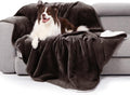 gogobunny Waterproof Bed Blanket, Reversible Sherpa Fleece Throw Blanket for Dog Puppy Cat, Furniture Cover Protects Bed Couch Sofa from Liquid Pee and Pet Fur (Dark Brown, 50x60 inches)