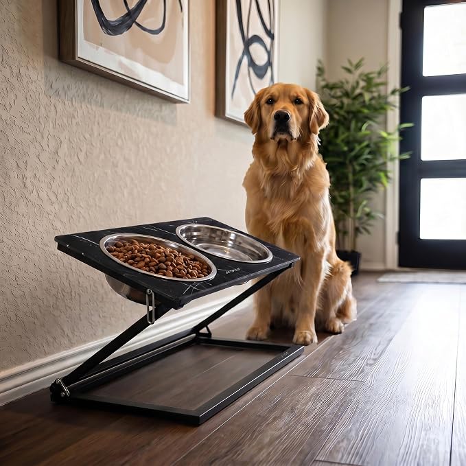 Elevated Dog Bowl, Adjustable Height and Tilt Angle Dog Bowl Stand | Precisely Adjust Height And Tilt Angle, Easy To Clean, Equipped With 2 Stainless Steel Food Bowls, Sturdy And Durable.