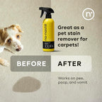 Nonaste Pet Stain & Odor Eliminator Enzyme Spray, Dog & Cat, 16 oz, Pk 2 | Enzyme Cleaner Breaks Down Dog & Cat Urine, Stains & Odor on Carpets & Upholstery. Pet & Kid Safe. Light Fresh Scent.