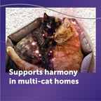 FELIWAY Optimum Cat Calming Pheromone Diffuser Kit | Advanced Support to Help Reduce Urine Spraying, Scratching, Fighting & Hiding Due to Stress. 30-Day Diffuser Supply