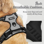 rabbitgoo Dog Harness, No Pull for Small Dogs with 2 Leash Clips, Pet Vest | No Choke with Handle, Adjustable Soft Padded, Reflective, Easy Control for Walking, Gray, Small