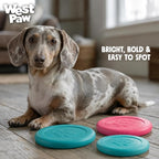 WEST PAW Zogoflex Zisc Dog Flying Disc, High Flying Aerodynamic Disc for Dogs Puppy – Lightweight, Floatable Disc for Fetch, Tug of War, Catch, Play – Doubles as Food/Water Bowl, Large 8.5", Geranium