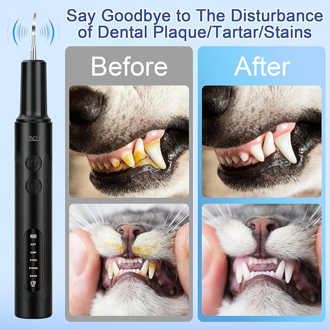 ETACCU Dog Plaque Remover for Teeth, Dog Plaque Remover Tool with LED Light, 5 Modes Teeth Cleaning Tools, Low Noise Pet Tooth Brushing Kit Dental Tools for Dog and Cat, Black
