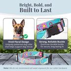 Lucky Love Dog Collars, Cute Large Dog Collars for Female Dogs, Part of Purchase Donated to Rescue (Large, Caroline, Collar)
