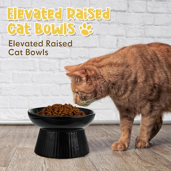 Tioncy 2 Pcs Ceramic Elevated Slow Feeder Cat Bowl, Raised Cat Slow Feeder Bowl, Anti Vomiting for Dry and Wet Food, No Spill High Edge Easy Clean Dishwasher Safe (Black,White)