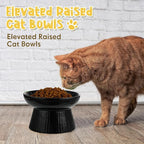 Tioncy 2 Pcs Ceramic Elevated Slow Feeder Cat Bowl, Raised Cat Slow Feeder Bowl, Anti Vomiting for Dry and Wet Food, No Spill High Edge Easy Clean Dishwasher Safe (Black,White)