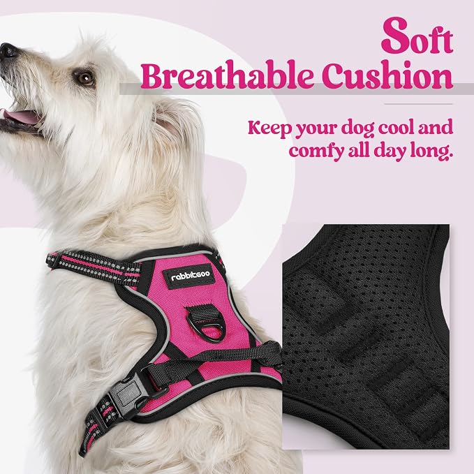 rabbitgoo Dog Harness No Pull with 2 Leash Clips, Adjustable Soft Padded, Reflective Oxford No Choke Pet Vest with Easy Control Handle for Puppy, Hot Pink, XS | No Choke with Handle, Adjustable Soft Padded, Reflective, Easy Control for Walking, Hot Pin...