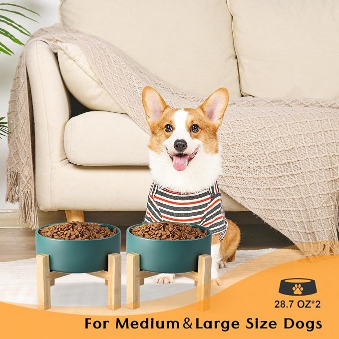 SPUNKYJUNKY Ceramic Elevated Dog Bowls 2 Pack - 6.1inch Raised Dog Bowls with Non-Slip Wooden Stand for Medium Dogs Dishwasher Safe(Green,28.7OZ*2)