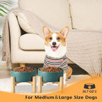 SPUNKYJUNKY Ceramic Elevated Dog Bowls 2 Pack - 6.1inch Raised Dog Bowls with Non-Slip Wooden Stand for Medium Dogs Dishwasher Safe(Green,28.7OZ*2)