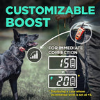 Dogtra E-Collar Tom Davis 280C Boost & Lock, Waterproof, 1/2-Mile Range Dog Training Collar with Remote, Rechargeable, 127 Levels, Vibration, Bungee, No Bad Dogs Trainer for Small, Medium, Large Dogs