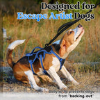 rabbitgoo Escape Proof Dog Harness for Small, No Pull with Lift Handle | No Escape, Full Soft Padded, Reflective Adjustable Vest, Leash Clip for Walking Hiking Training, Blue & Black, Small