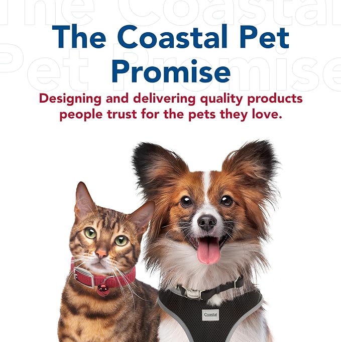 Coastal Pet Double-Ply Dog Leash - Bolt Snap Attachment to Collars and Harnesses - Nylon Dog Walking Leash for Small, Medium and Large Dogs - Purple - 1" x 6'