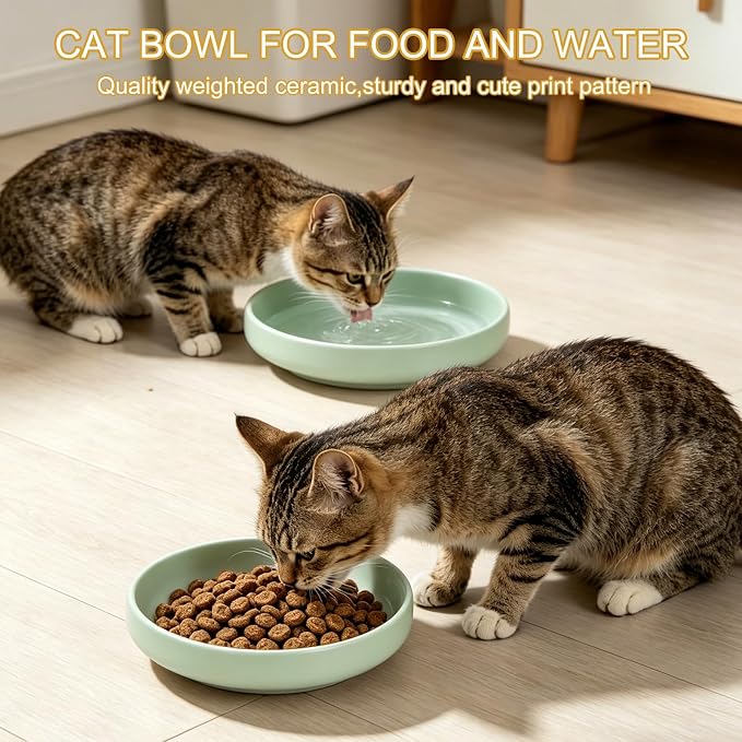 Shallow Elevated Cat Bowls with Bamboo Stand, 6.1 Inch Wide Ceramic Cat Dish Whisker Friendly, 2 Pack Pet Food and Water Plates