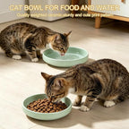 Shallow Elevated Cat Bowls with Bamboo Stand, 6.1 Inch Wide Ceramic Cat Dish Whisker Friendly, 2 Pack Pet Food and Water Plates