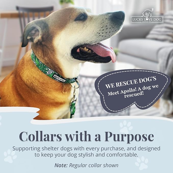 Lucky Love Dog Collar and Leash Set, Beautiful & Vivid Patterns, Easy On & Off Clasp Accessory (Blue Laguna, S Combo)