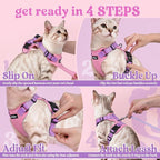 rabbitgoo Cat Harness and Leash Set, Escape Proof Vest, Pink & Light Purple | Soft Breathable Mesh, Easy Adjustable Fit, Snap Buckles, Sturdy Clip, Reflective Strips, for Average Cats Walks, S