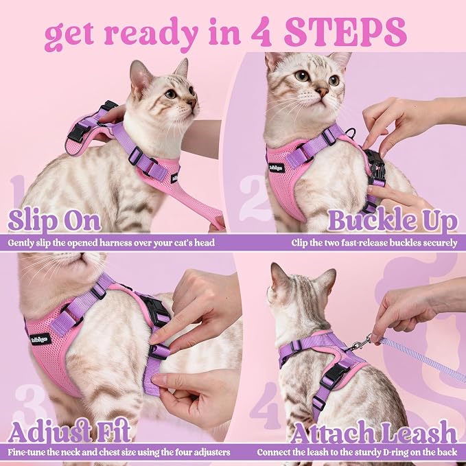 rabbitgoo Cat Harness and Leash Set, Escape Proof Vest, Pink & Light Purple | Soft Breathable Mesh, Easy Adjustable Fit, Snap Buckles, Sturdy Clip, Reflective Strips, for Small & Average Cats Walks, Xs
