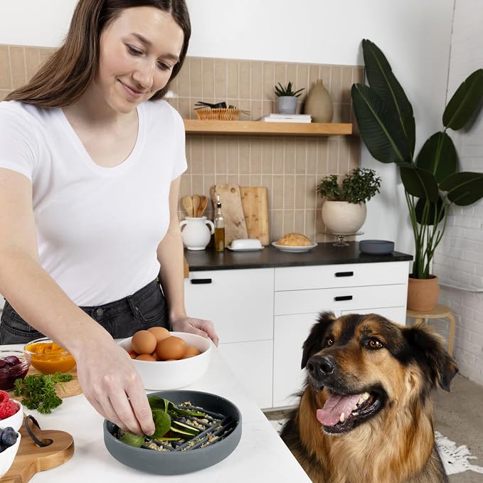Slow Feeder Dog Bowls - Medium Size Silicone Slow Eating Dog Bowl for Puppies & Dogs with Suction Cup -Dishwasher-Safe,Lick Mat Design,Reduces Gulping,for All Breeds,7.5”x1.5”- Charcoal