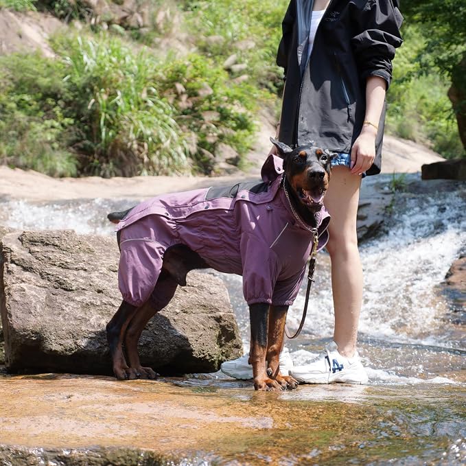 LOVELONGLONG Waterproof Dog Raincoat with Removable Hood – Outdoor Full Body Dog Jacket, Windproof Snowproof Shell Suit – All Season Pet Rain Gear Plum Purple M