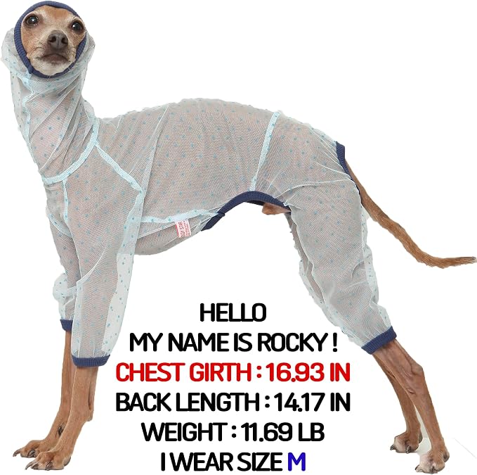 D Doggy Star Italian Greyhound Clothes Sheer Mesh Onesie Summer Jumpsuit Breathable Full Body Protection for Outdoor Walks Small Whippet Fit (M,Sheer Mesh Blue)