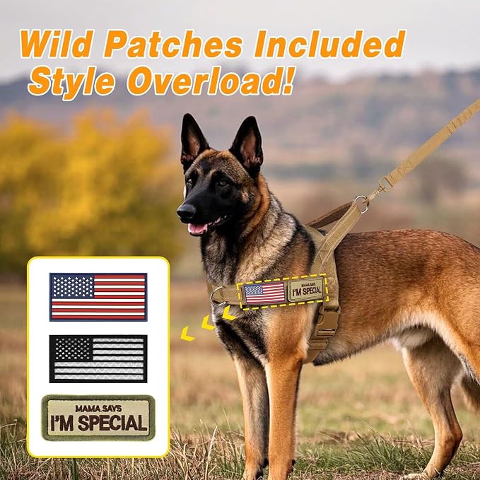Forestpaw No Pull Dog Harness with Large Handle,Comfortable,L,Brown | Adjustable Fits Chest 26-31",50-80 lbs,Slip On,Quick Release,Easy Control,Soft Padded,for Medium Large Dogs Walking Training