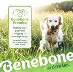 Benebone 2-pack Fishbone/Wishbone Durable Dog Chew Toys, Dog Bones, Large