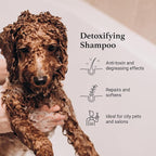 iGroom Charcoal Keratin Dog Shampoo, Luxury Pet Beauty Care, Protect Coat and Skin, Detoxifies with Charcoal, Made in USA, Gallon