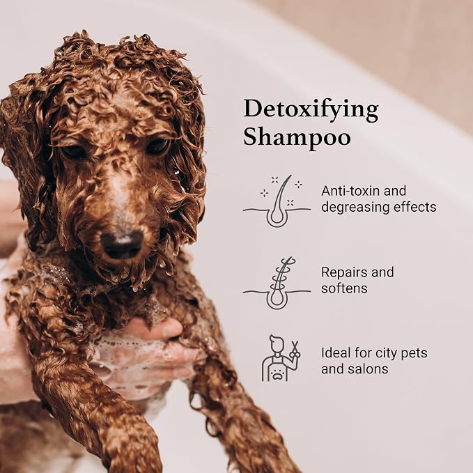 iGroom Charcoal Keratin Dog Shampoo, Luxury Pet Beauty Care, Protect Coat and Skin, Detoxifies with Charcoal, Made in USA, Gallon