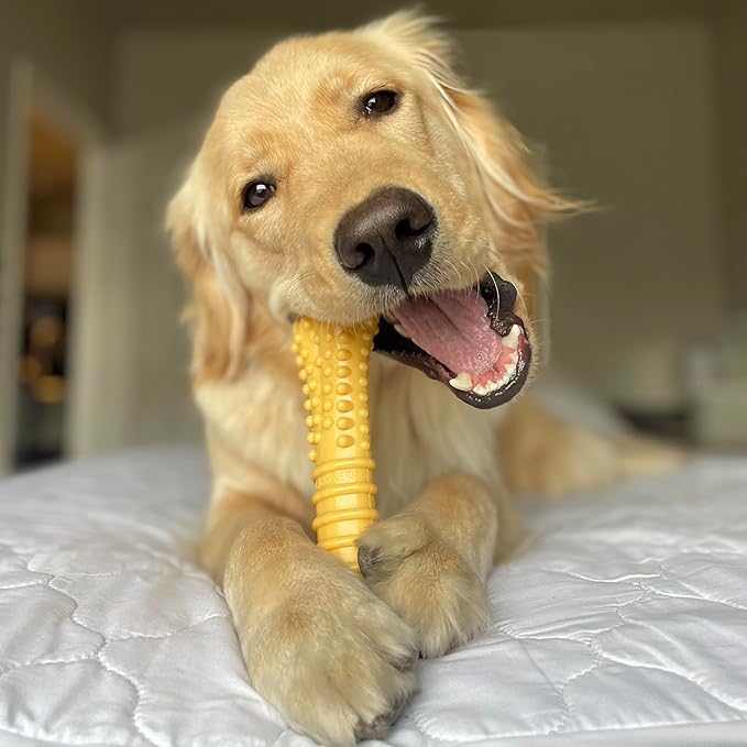 Nylabone Power Chew Customer Favorites Dog Chew Toys, 3 Count, Large | Flavor Medley, peanut butter, and beef flavor, durable dog toys for aggressive chewers, for large breeds up to 50 lbs
