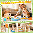 Forfon Curated Dog Puzzle Toys for Boredom and Mental Stimulation, 10-Pack Enrichment Toy Set with Slow Feeder Bowl, Lick Mat & Treat Ball to Keep Dogs Busy and Engaged