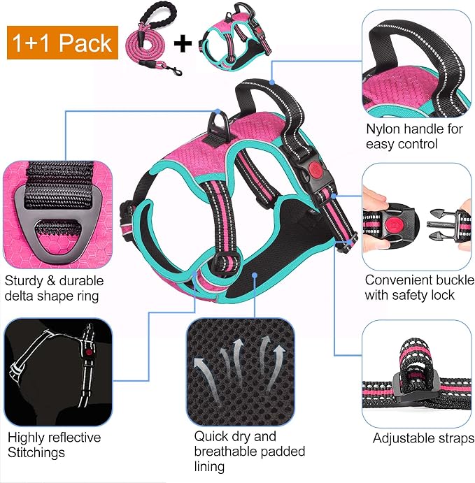 tobeDRI No Pull Dog Harness Adjustable Reflective Oxford Easy Control Medium Large Dog Harness with A Free Heavy Duty 5ft Dog Leash, Pink/Blue, M
