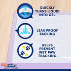Hartz Home Protection Lavender Scented Odor Eliminating Dog Pads, 100 Count | Thicker Quilted, Super Absorbent, Quick Drying, No Leaks, No Odors, FlashDry Technology