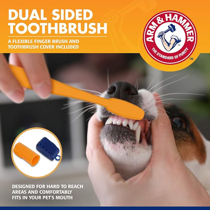 Arm & Hammer Tartar Control Dog Dental Kit, Banana Mint, 3-Piece | Enzymatic toothpaste with toothbrush and fingerbrush, baking soda formula safe for puppies