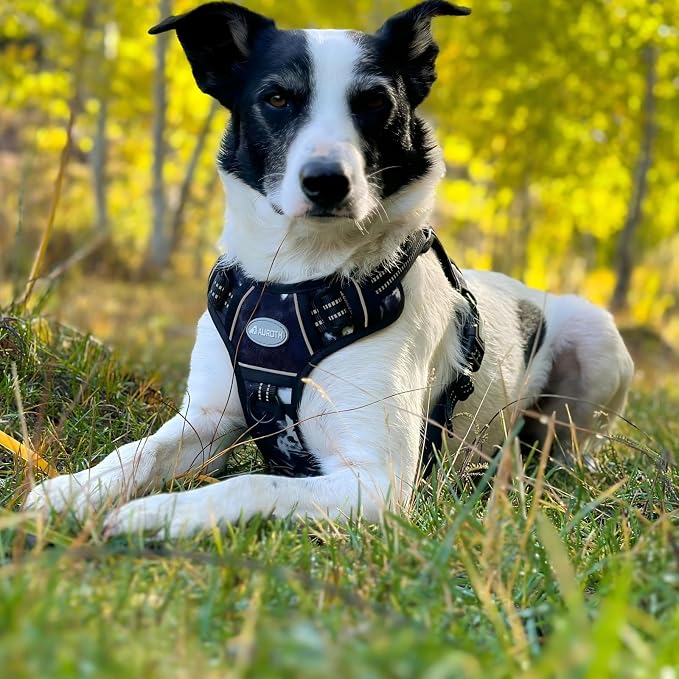 AUROTH Tactical Dog Harness for Small Medium Large Dogs No Pull Adjustable Pet Harness Reflective K9 Working Training Easy Control Pet Vest Military Service Dog Harnesses (XL, Black Ink)