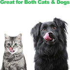 Set of 2 Stainless Steel Dog Bowls - 40oz Pet Bowls with Decorative Dog Food Stand - Metal Food and Water Dishes for Large Pets - Puppy Essentials by PETMAKER (Silver/Black)