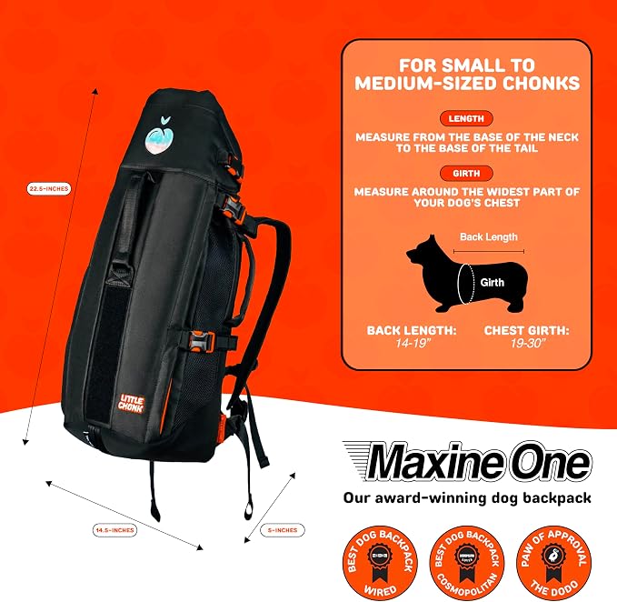 Little Chonk Maxine One Dog Backpack Carrier for Medium Dogs (Gray) | Adjustable & Ergonomic Pet Carrier, Built to be Safer, Hands Free Travel & Hiking, Front Facing, Featured in Wired Magazine