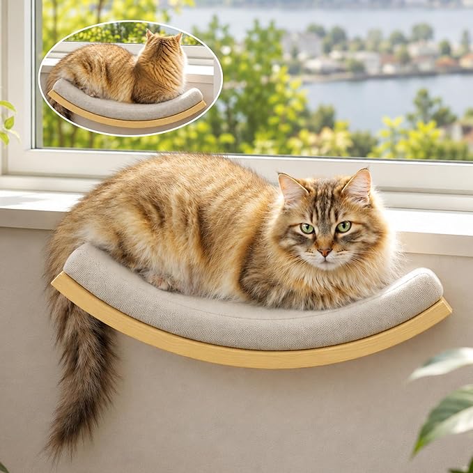 Cat Wall Shelf with Curved Hammock Bed, Wall Mounted Cat Perch | Space-Saving, Floating Cat Wall Bed with Beige Soft Cushion, Wall-Mounted Cat Furniture for All Cat Breeds Sleeping & Playing