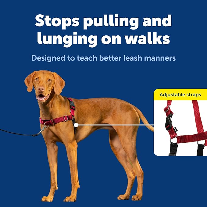 PetSafe Easy Walk Harness for Dogs - Pull-Free Walks - Patented Martingale Loop Design - Front Chest Leash Attachment - Comfort Straps - Breathable Harness Design - Medium, Red/Black