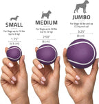 Playology Dog Toys | Squeaky Chew Ball for Dogs | Bacon Scented Medium Dog Ball | Bouncy Floating Chew Toys for Fetch
