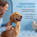 Round Bristle Pet Brush for Dogs and Cats - Soft Dog Brush for Grooming Short or Long Hair - Gentle Tool for Sensitive Skin Removes Dander, Dirt, and Detangles (Blue)