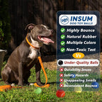 INSUM Squeaky Tennis Balls for Dogs 6 Pack 2.5" Squeaky Balls for Dogs | SGS Non-Toxic Test Pass, Multi Bright Colors Perfect for Outdoor & Indoor Play