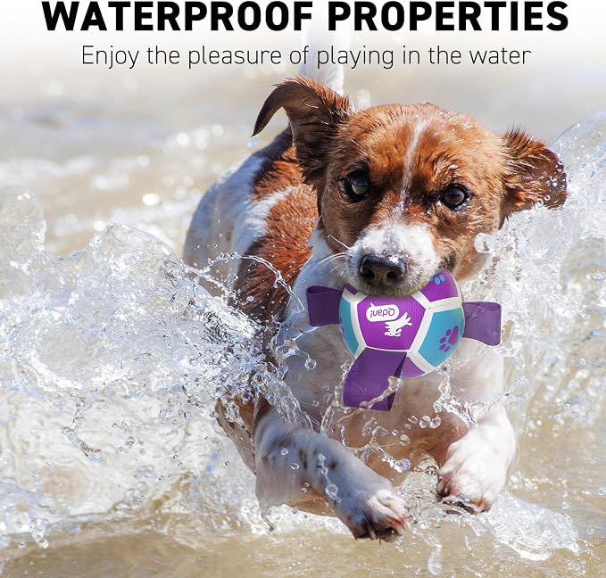 QDAN Small Dog Toys, Puppy Balls, Dog Balls with Straps for Small Breed | 3.5 Inch Small Soccer Ball for Dogs, Puppy Toys for 3-15 lbs Dogs, Dog Birthday Gift, Herding Ball for Small Dogs, Purple