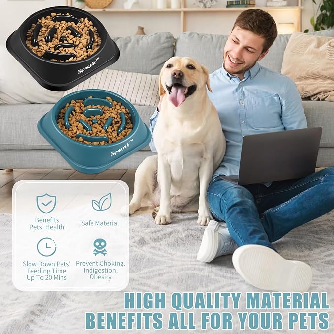 2 Pack Slow Feeder Dog Bowls for Large Dogs | Non-Slip Base, Anti-Choking Design, Reduces Bloating & Overeating, Easy to Clean, 4 Cups