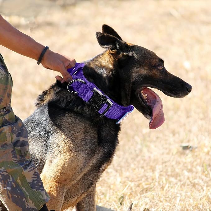 Tactical Military Collar - Adjustable Nylon, Heavy Duty Metal Buckle with Handle for Dog Training, with Patches (Purple, XL)