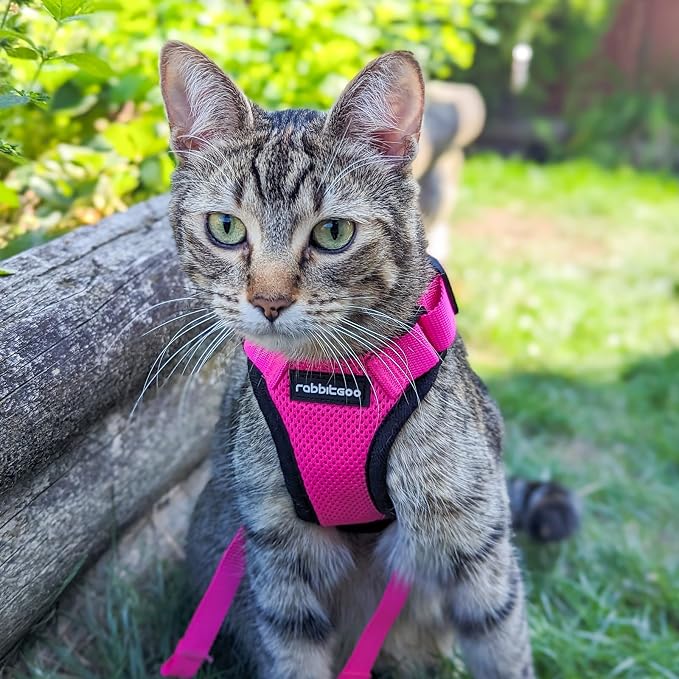 rabbitgoo Cat Harness and Leash Set, Escape Proof Vest, Rose Red | Soft Breathable Mesh, Easy Adjustable Fit, Snap Buckles, Sturdy Clip, Reflective Strips, for Kittens & Small Cats Walks, Xxs