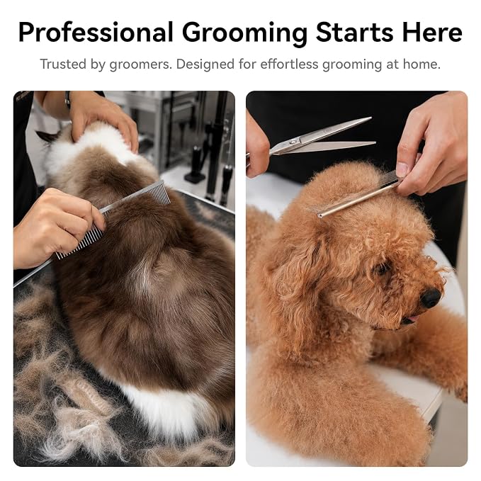 Stainless Steel Dog & Cat Comb with Coarse/Fine Teeth, Professional Pet Grooming Tool, Dematting Undercoat Comb for Long Hair, Double Coats Dogs Cats Removing Tangles and Knots, Silver