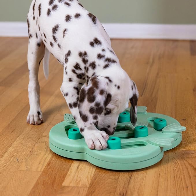 Outward Hound by Nina Ottosson Puppy Treat Puzzle Enrichment Dog Toy
