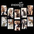 Puppytie Small Dog Harness and Leash Set, Black, S (9-17.5 lbs) | Dog Harness Small Sized Dog, Dog Leash for Small Dogs, Soft and Lightweight, Puppytie Dog Harness for Daily Walks